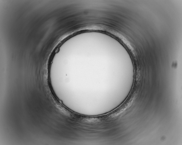 X0000103410837200810031244