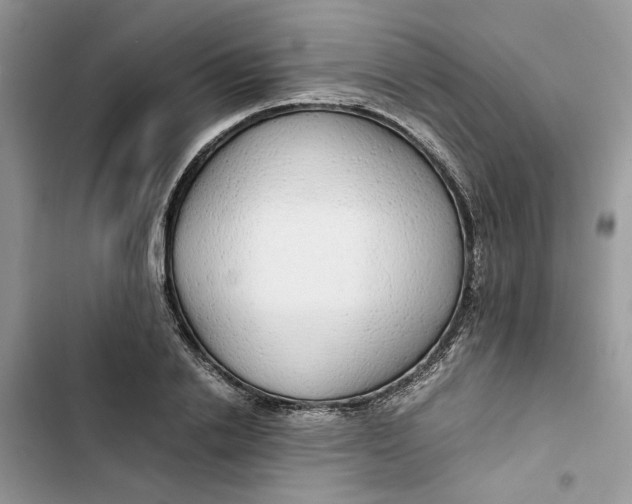 X0000103410838200810031244