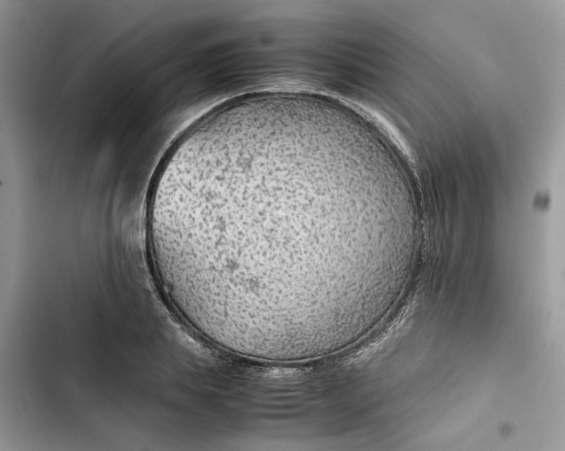 X0000103410839200810031244