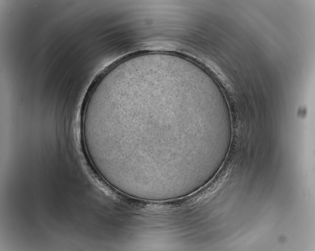 X0000103410840200810031244