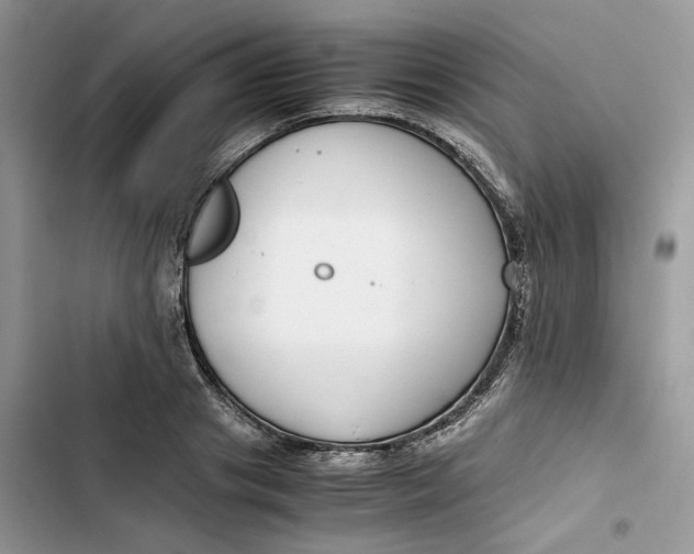 X0000103410841200810031244