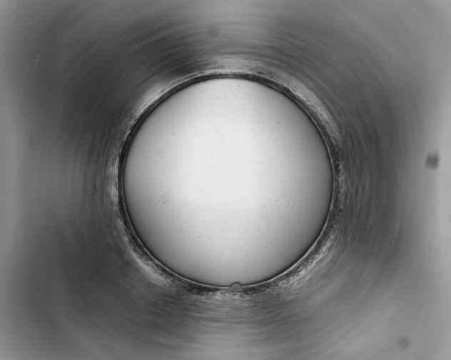 X0000103410842200810031244