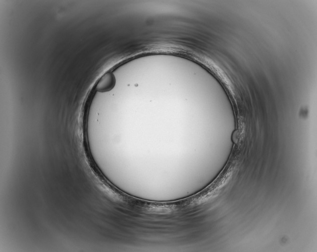 X0000103410843200810031244