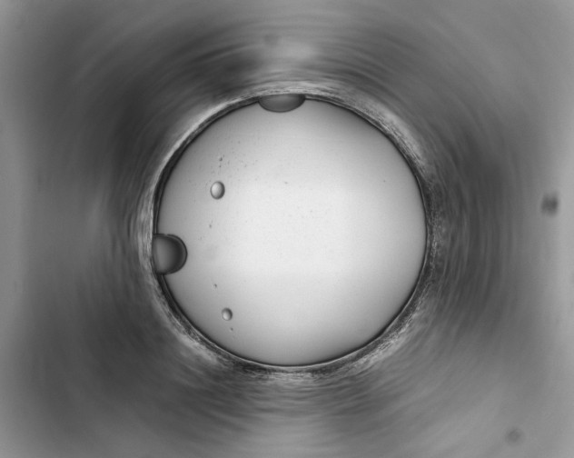 X0000103410844200810031244