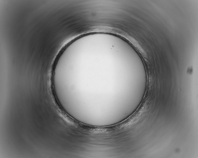 X0000103410846200810031244