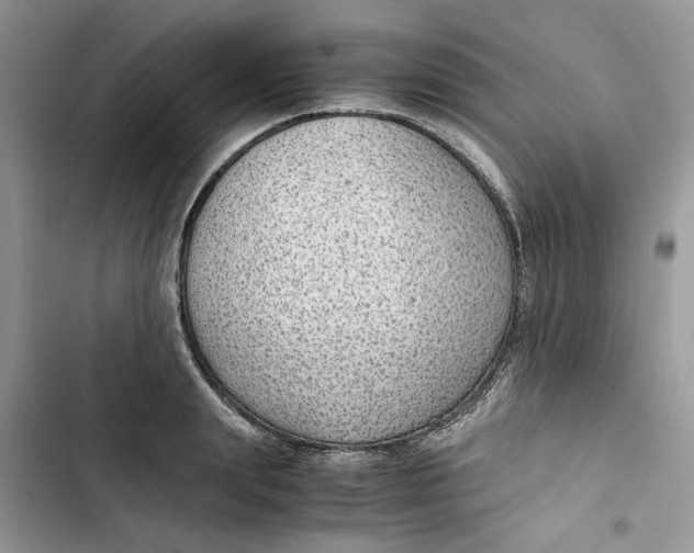 X0000103410847200810031244