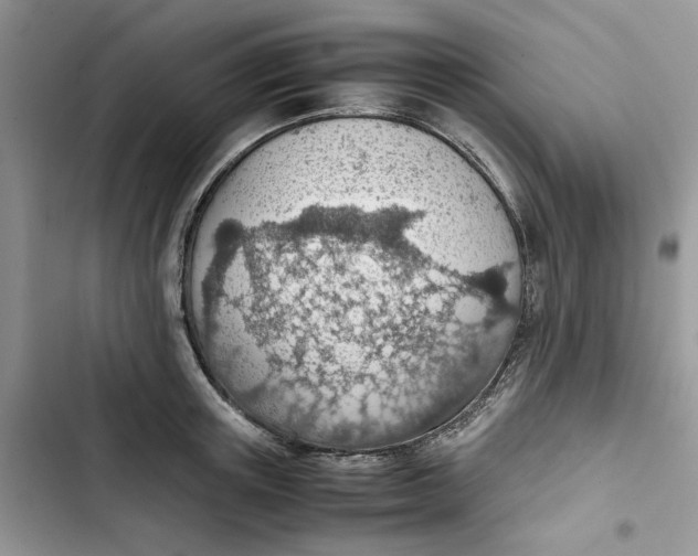 X0000103410851200810031244