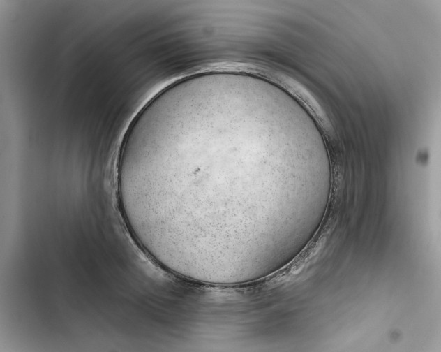 X0000103410852200810031244