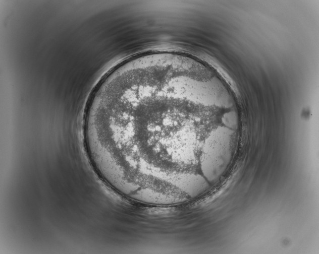 X0000103410853200810031244