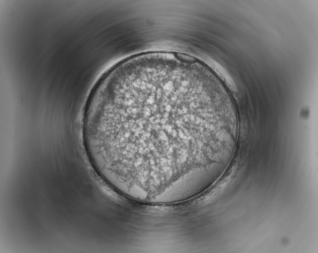 X0000103410854200810031244