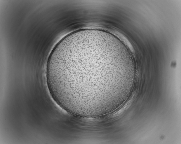 X0000103410855200810031244