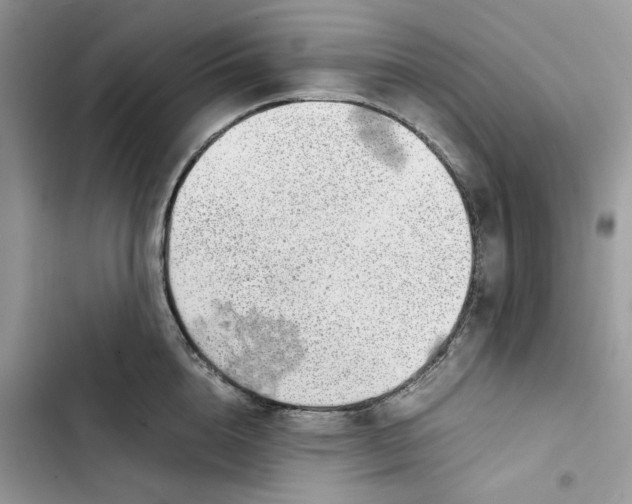 X0000103410856200810031244