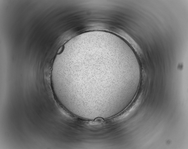 X0000103410857200810031244