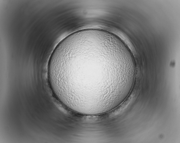 X0000103410858200810031244