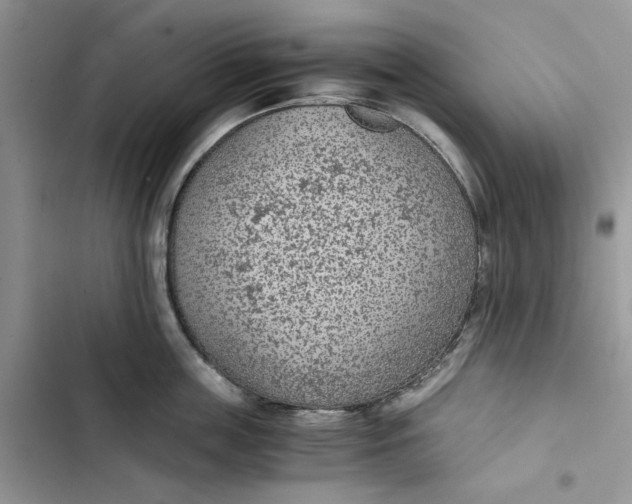 X0000103410859200810031244