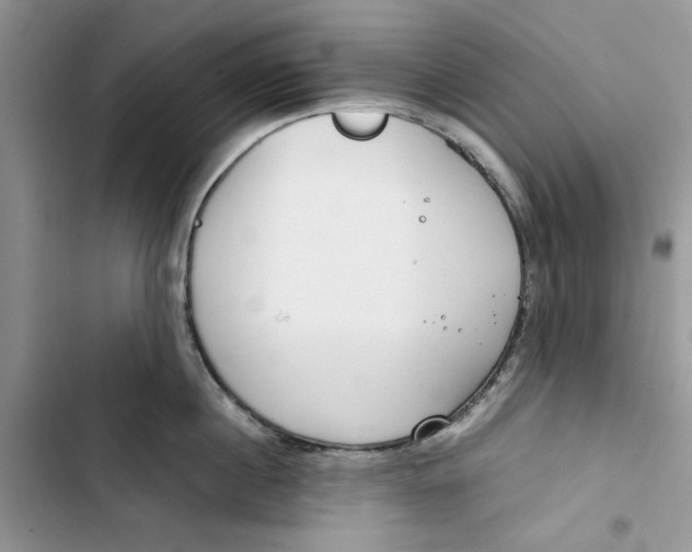 X0000103410860200810031244