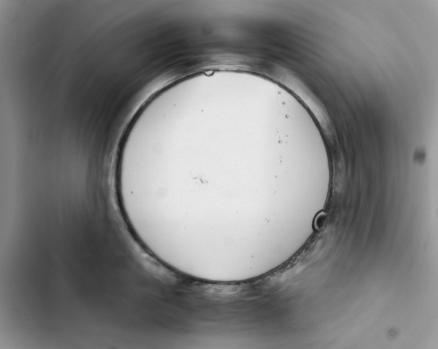 X0000103410861200810031244