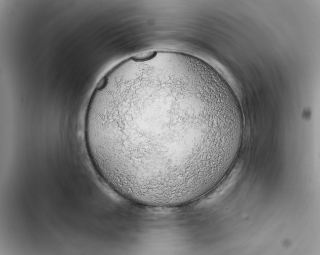 X0000103410862200810031244