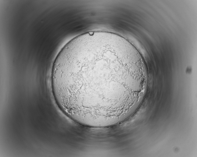 X0000103410863200810031244