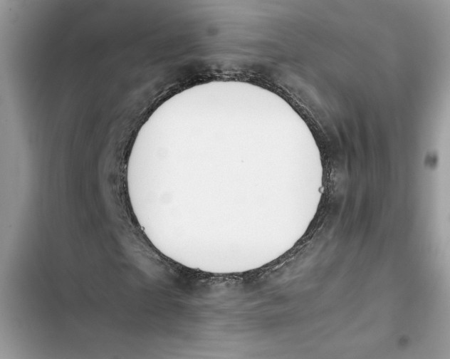 X0000103410865200810031244