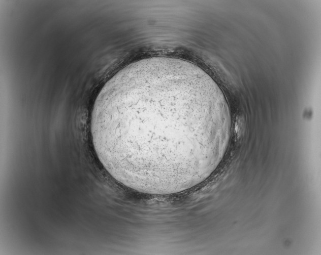 X0000103410867200810031244