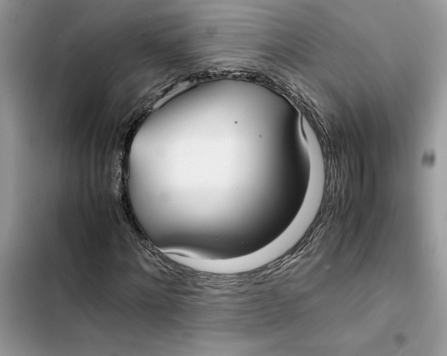 X0000103410868200810031244