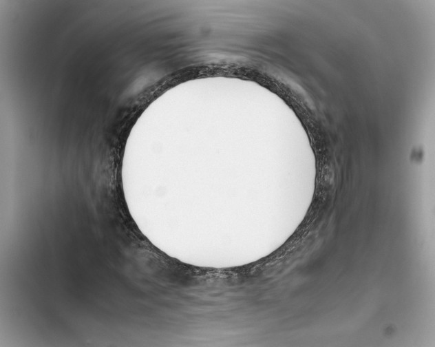 X0000103410869200810031244