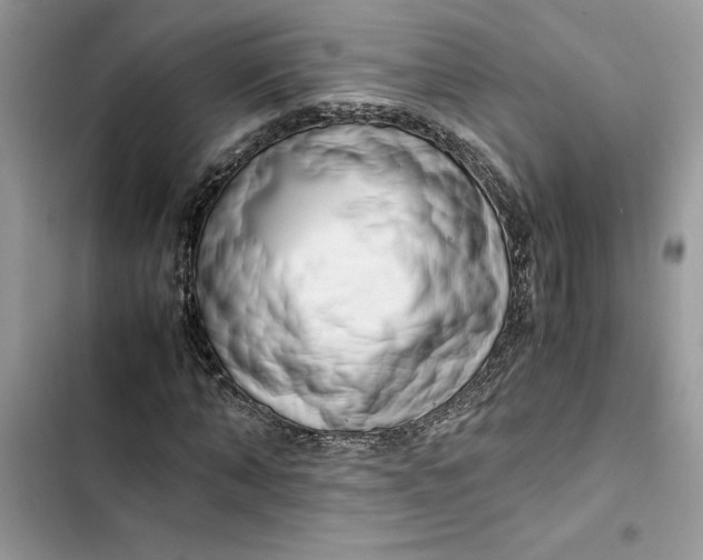 X0000103410870200810031244