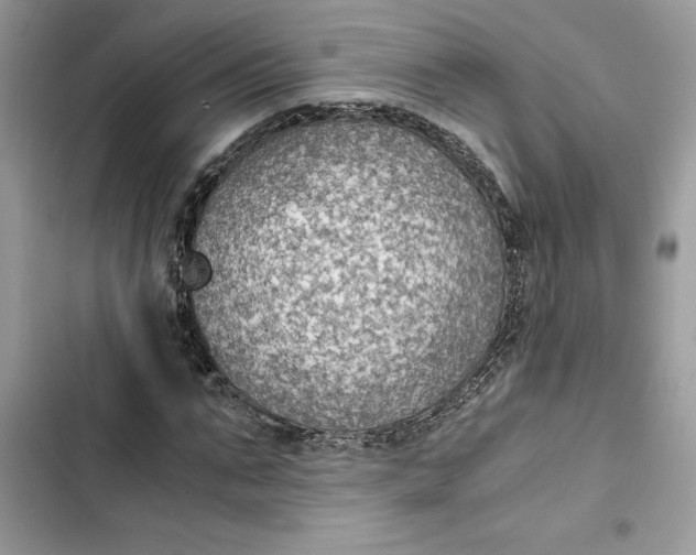 X0000103410871200810031244