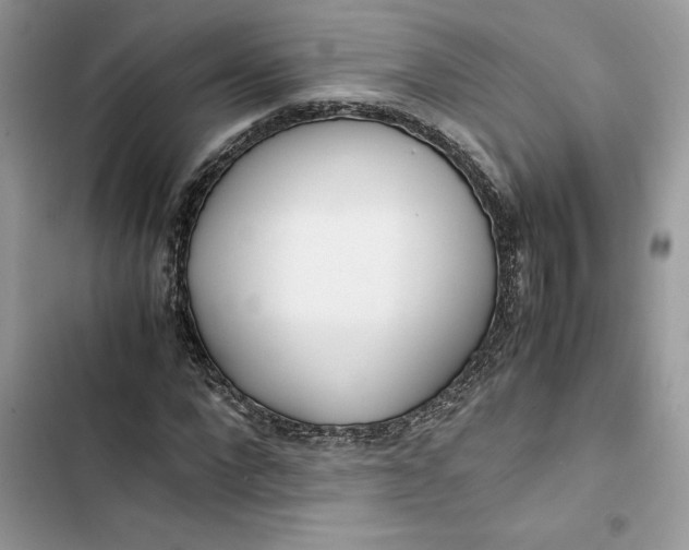 X0000103410872200810031244