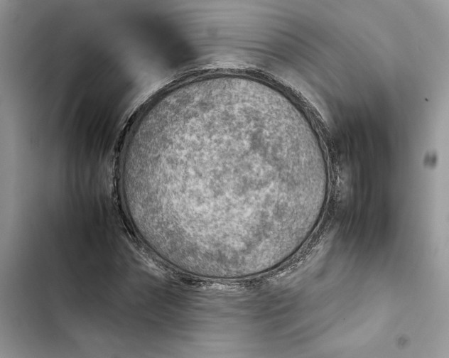 X0000103410874200810031244