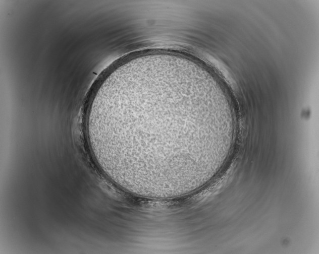 X0000103410875200810031244