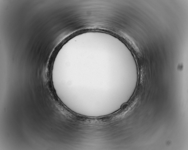 X0000103410876200810031244