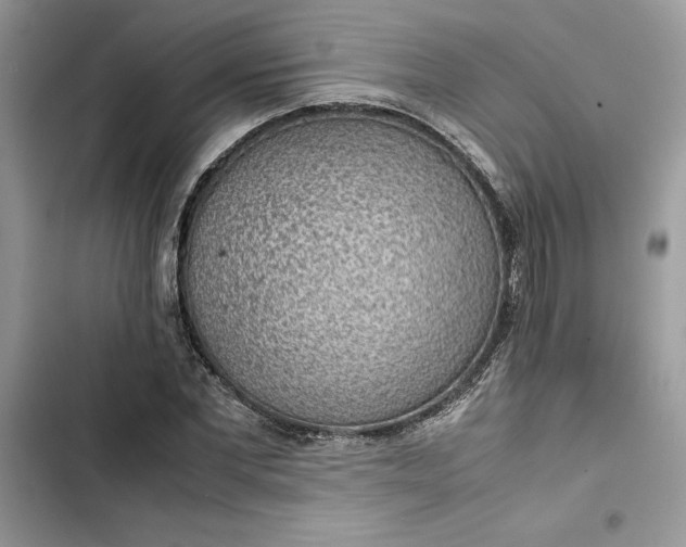 X0000103410877200810031244