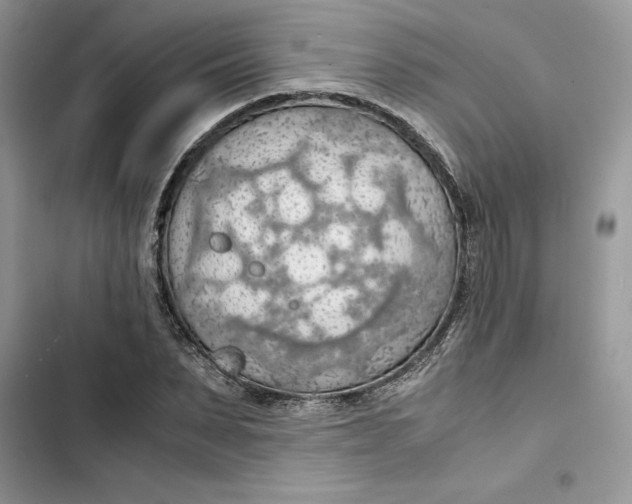 X0000103410879200810031244