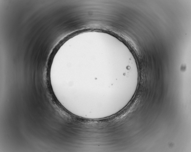 X0000103410880200810031244