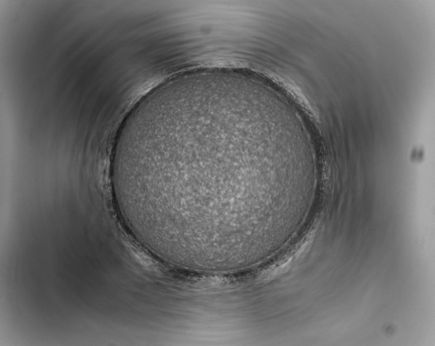 X0000103410881200810031244