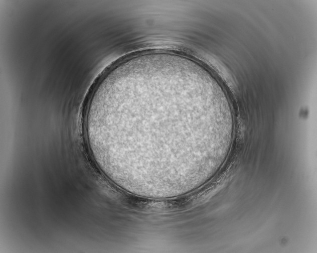 X0000103410883200810031243