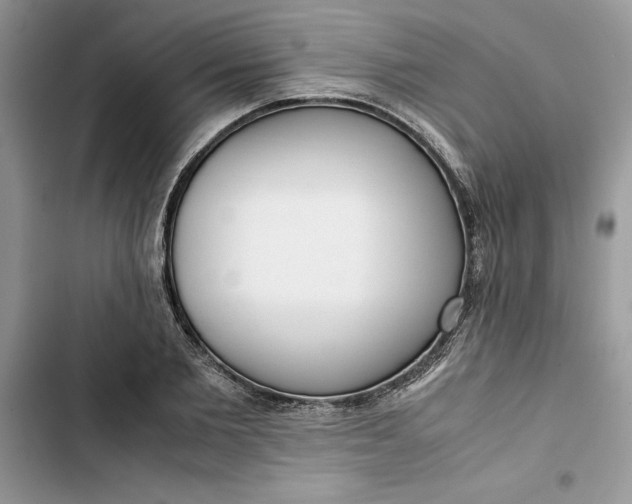 X0000103410885200810031243