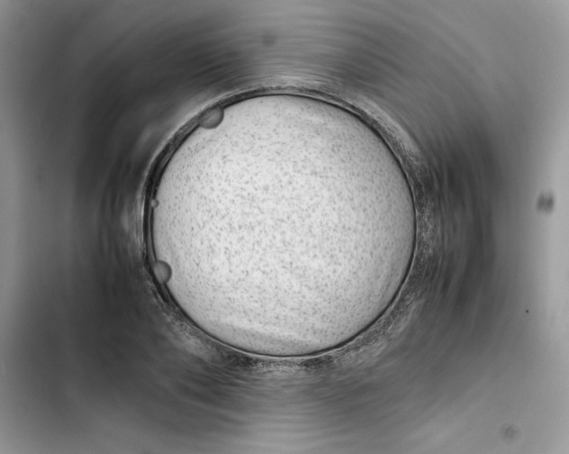 X0000103410886200810031243