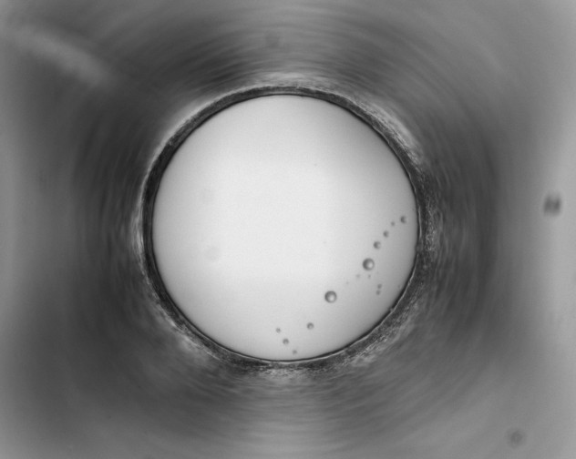 X0000103410888200810031243