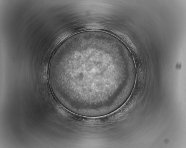 X0000103410889200810031243