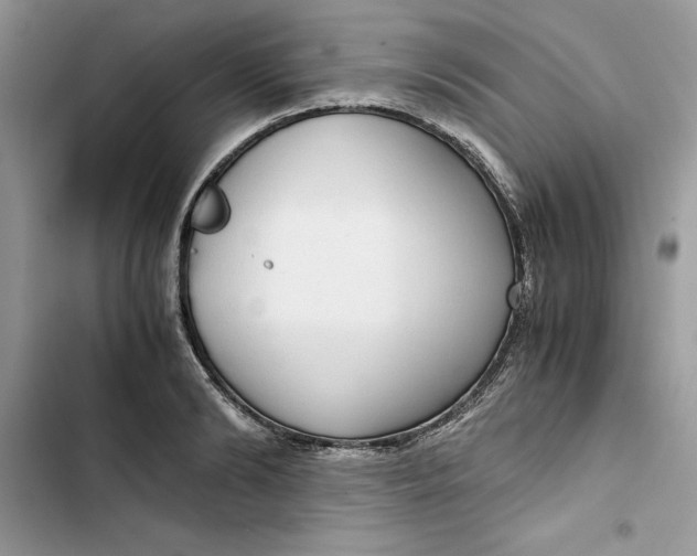 X0000103410894200810031243