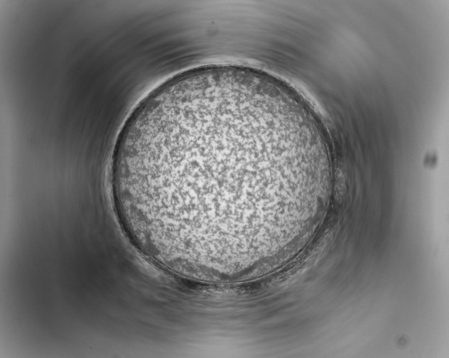 X0000103410895200810031243