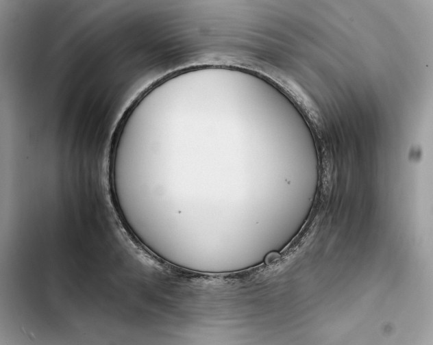 X0000103410896200810031243