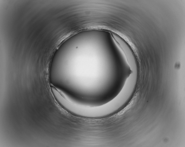 X0000103410897200810031243