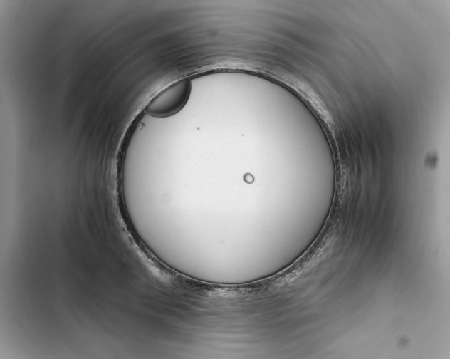 X0000103410898200810031243