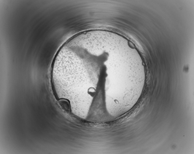 X0000103410899200810031243