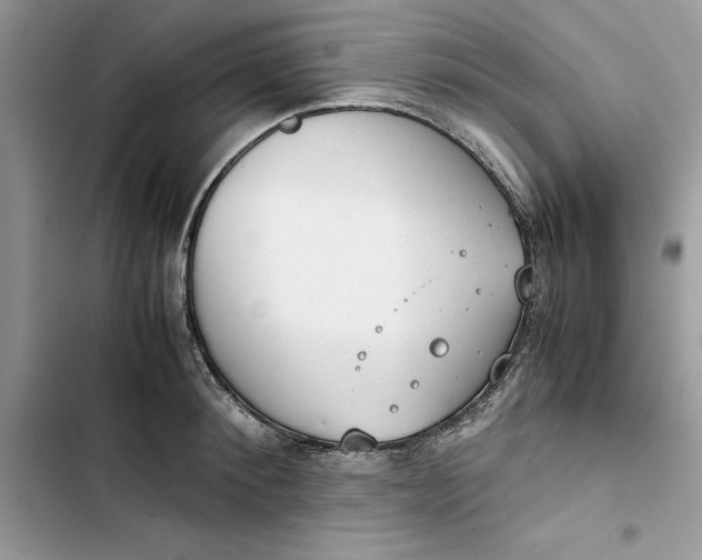 X0000103410900200810031243