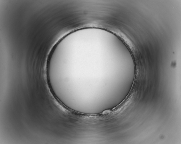 X0000103410902200810031243